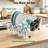 Small In-Sink Stainless Steel Dish Drying Rack for RV, Apartment Kitchen, Silver