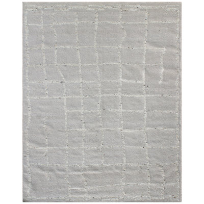 Wool Geometric Area Rug in Gray/White