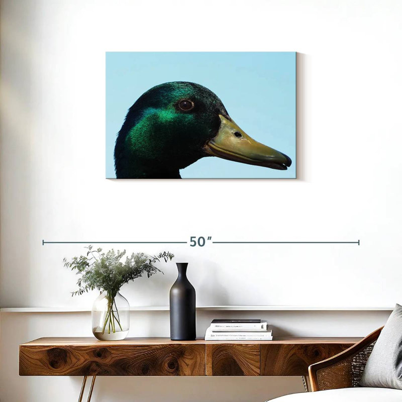 Mallard Duck Close Up, 20" H x 30" W