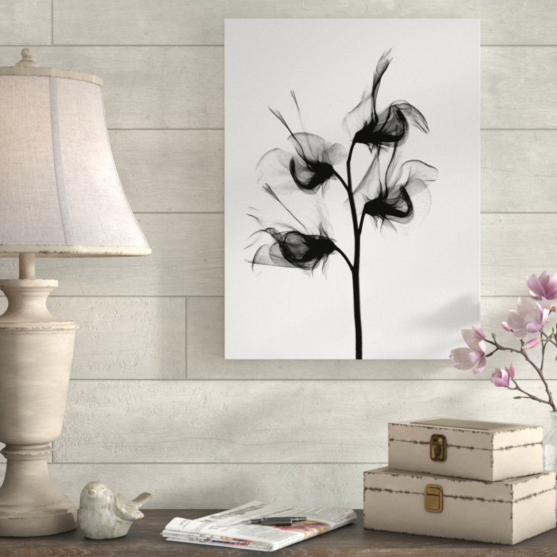 « doux pea x ray », reproduction de photo sur toile tendue, H 47 po x l 35 po x P 2 po