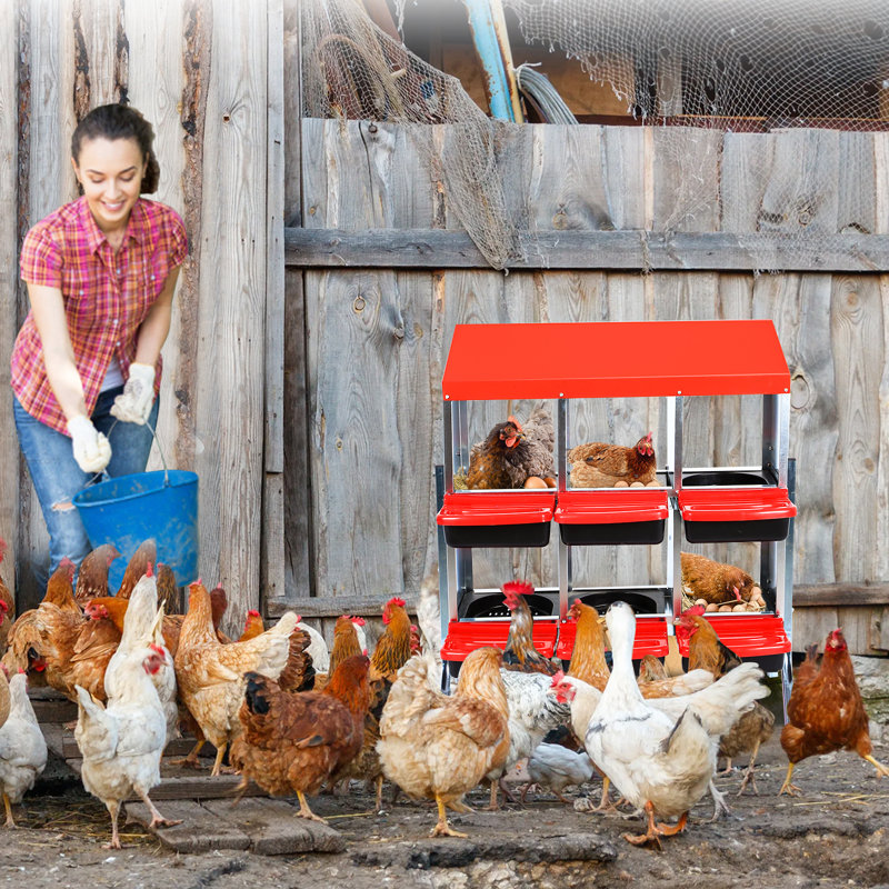 Egg Boxes & Baskets, Red