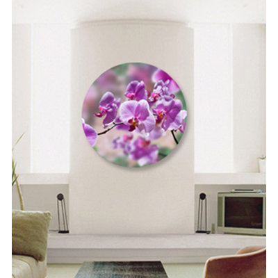" Purple Orchids "