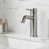 Brushed Nickel