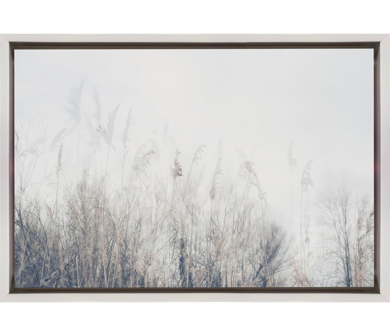 Paysage de roseaux et d'herbes, H 24 po x l 20 po, Noir