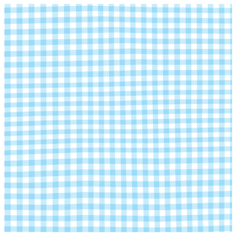 Tapis de bain bleu vichy blanc, L 24 po x L 17 po