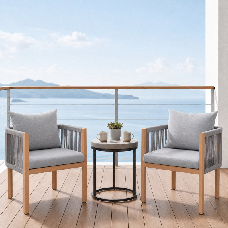 Ensemble de 2 chaises de salle à manger en corde tissée avec cadre amovible en fer à transfert de chaleur avec coussin amovible pour terrasse