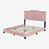 Rose est en rupture de stock