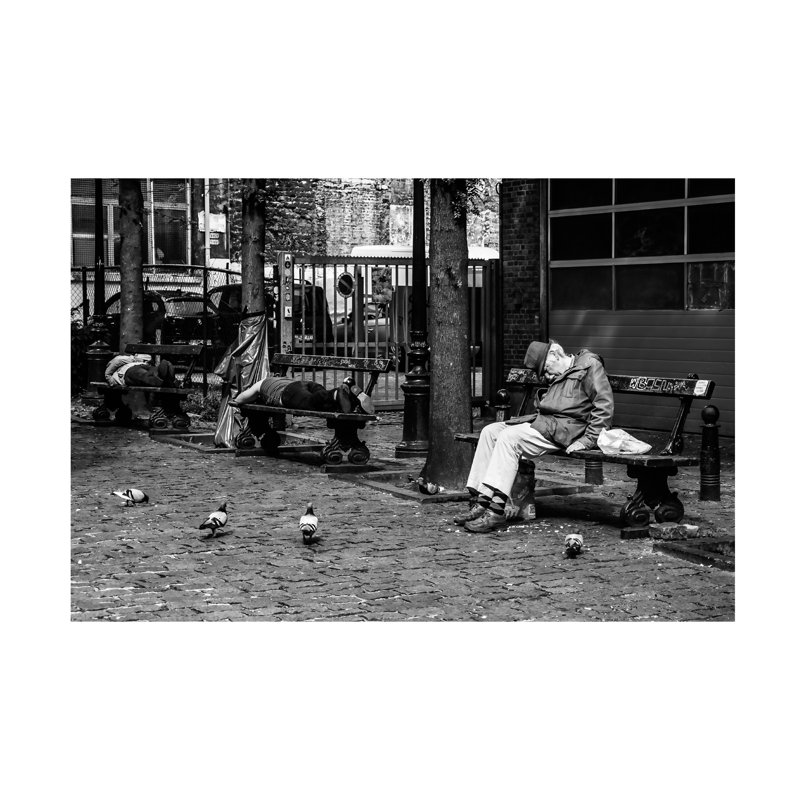 Alexandre Duarte Sleeping Canvas Art, H 12 po x l 19 po