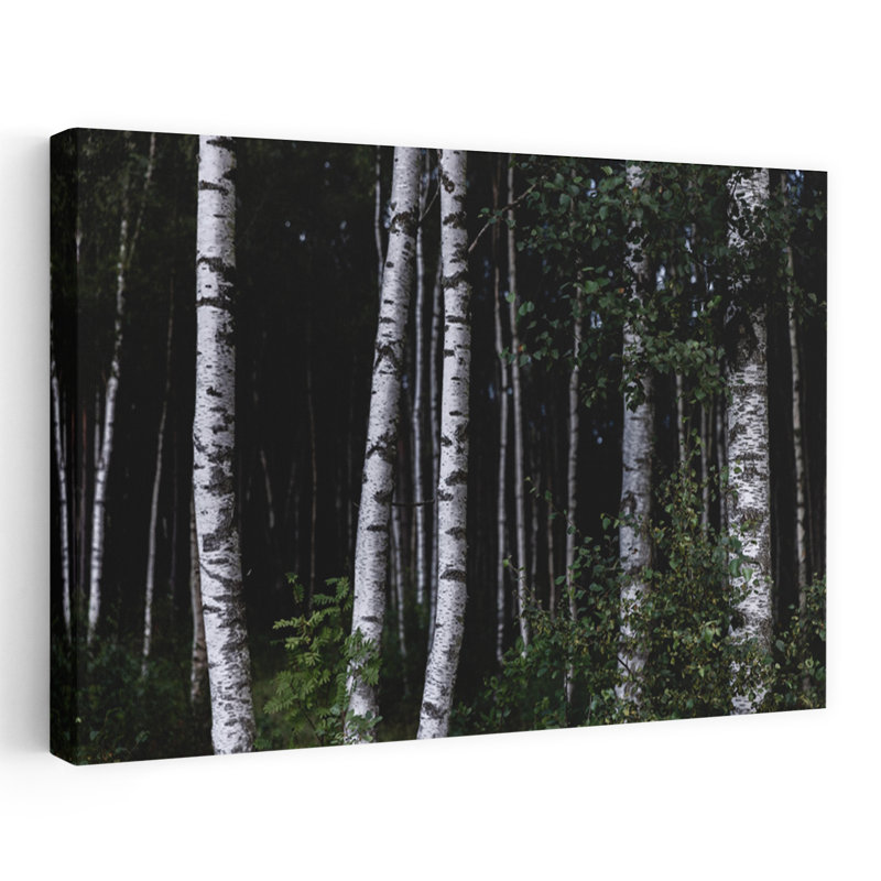 Art contemporain contemporain, paysage de forêt de bouleaux, H 32 po x l 48 po