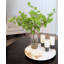 Branche de saule artificiel dans un vase