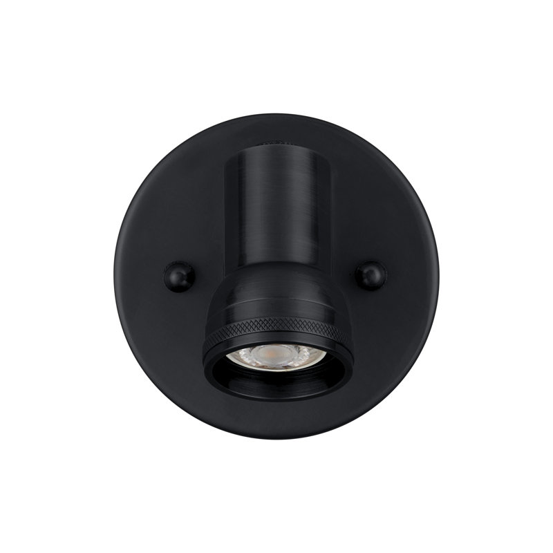 Lampe pour cadre 1 lumière Patterson, Noir mat
