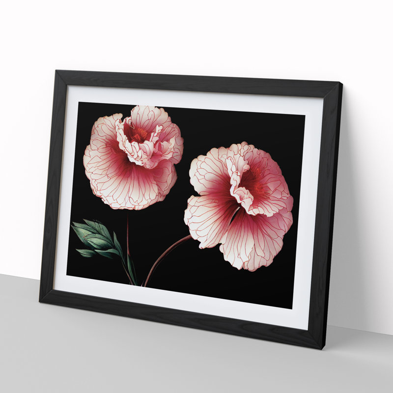 Sparkling Carnation Flowers - Framed Print, 25cm H x 34cm W x 2cm D, Black