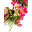 Couronne de brindilles 24 po Primrue