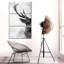 Deer Face Black And White Multi Piece Canvas Print-444666826