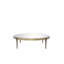 Artemisa Coffee Table-68999584