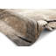 Easton area rug Machine Woven Rectangle Beige-24398763