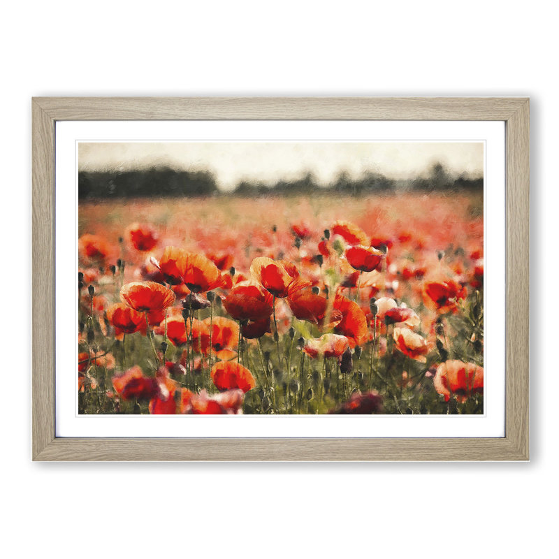Field of Poppies Vol.1 - Picture Frame Graphic Art, Oak Framed, 27cm H x 36cm W x 2cm D