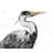 Great Heron Animals Feathers Duvet Cover | Home Decor Style