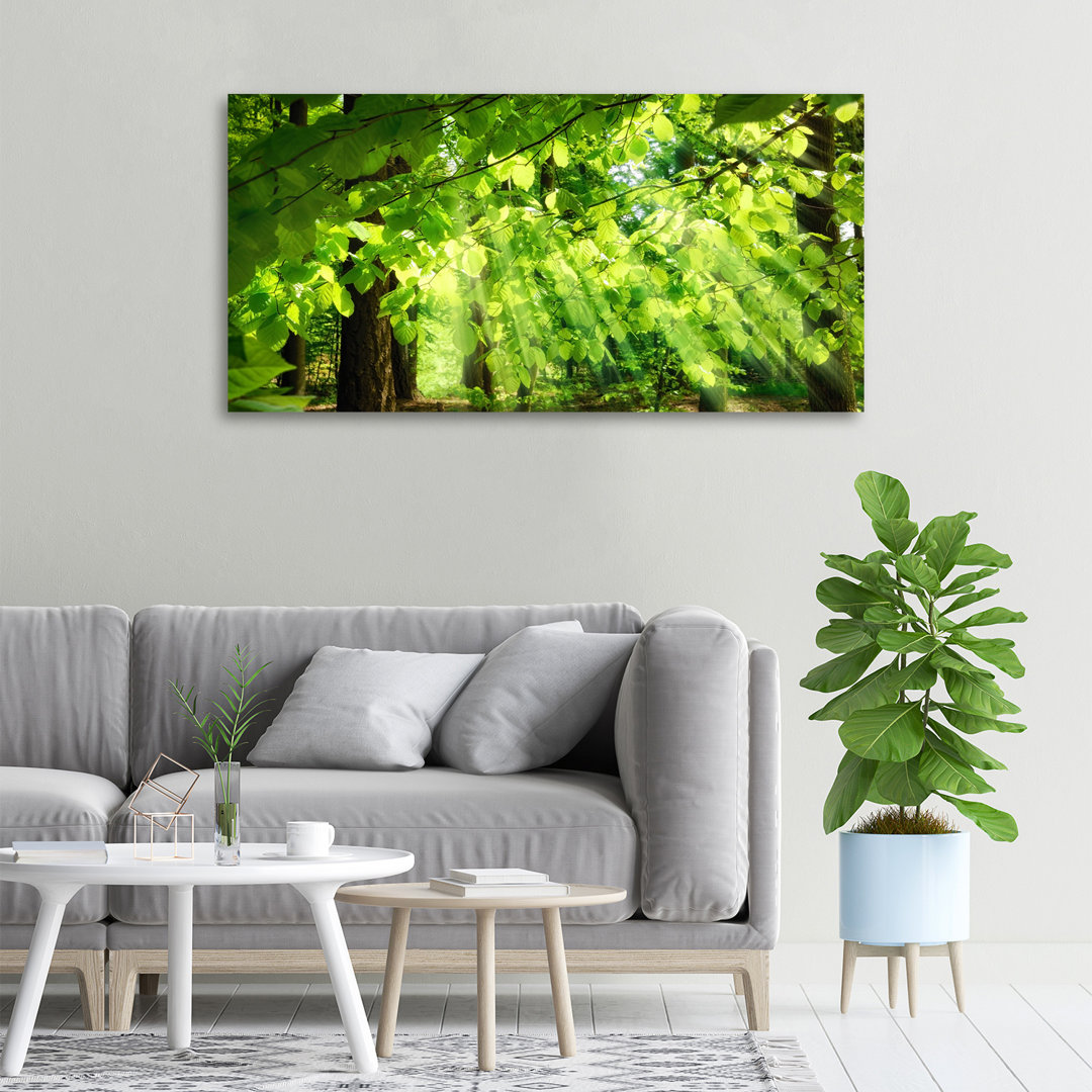 Beech Leaves - Kunstdrucke auf Leinwand - Wrapped Canvas