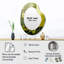Plantes vertes respectueuses de l'environnement Symphony II - Botanicals Unique Shape Unique Mirror, Green