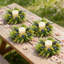 Ensemble de couronnes vert eucalyptus vert avec guirlande - Mini couronnes de verdure en bois de buis avec ruban