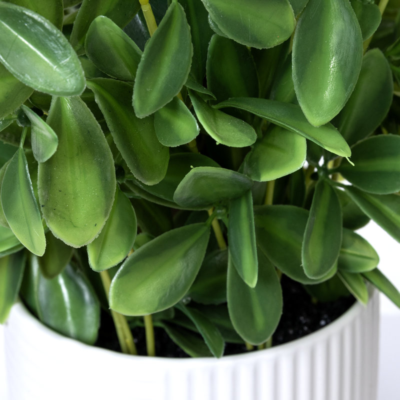 2 Pack Of 18" X 14" Olive Tree In Ceramic Planter