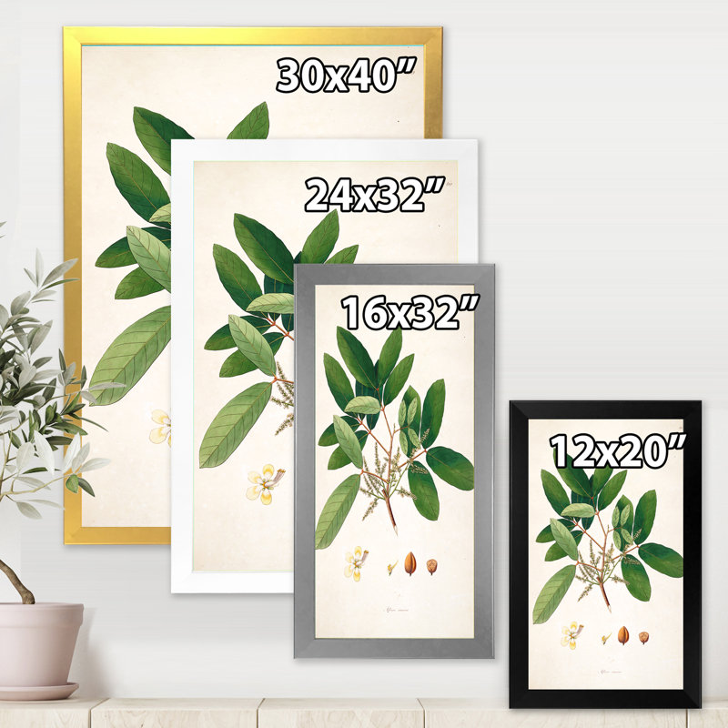 Vintage Botanicals II - peinture sur toile, H 32 po x l 16 po x P 1 po, Cadre photo noir