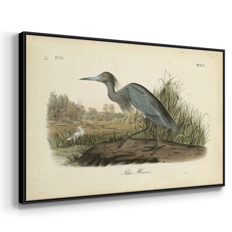 Audubons Blue Heron, reproduction d'art sur toile, Noir, H 25 po x l 37 po x P 2 po