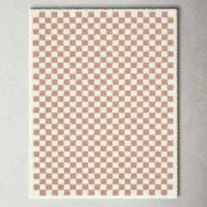 Walker Checkered Pink/Cream Shag Area Rug