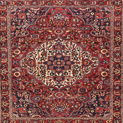 Oriental Indoor Rug