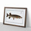 Pike Fish by M.E. Bloch - Picture Frame Painting Print on MDF-55583626-55583629