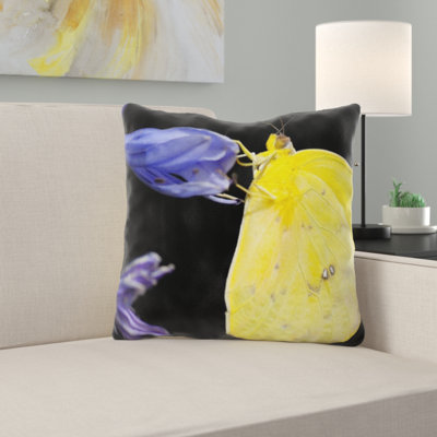 Coussin décoratif papillon