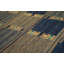 Scandia One-of-a-Kind 9' X 12' Area Rug