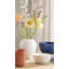 Table Vase-1688950504