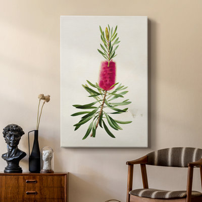 Pretty Pink Botanicals VII - Gallery Cavas