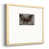 Silver Framed Paper
