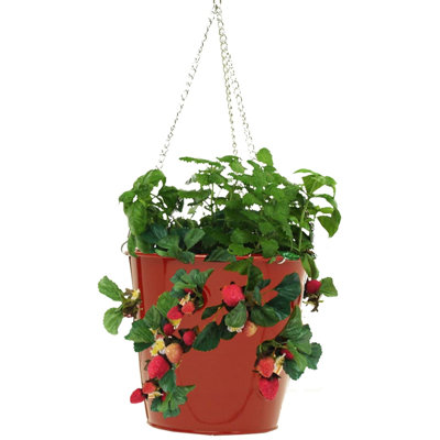Alasdair Metal Hanging Planter