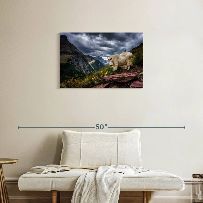 Brampt Rocky Mountain Goat, 20" H x 30" W