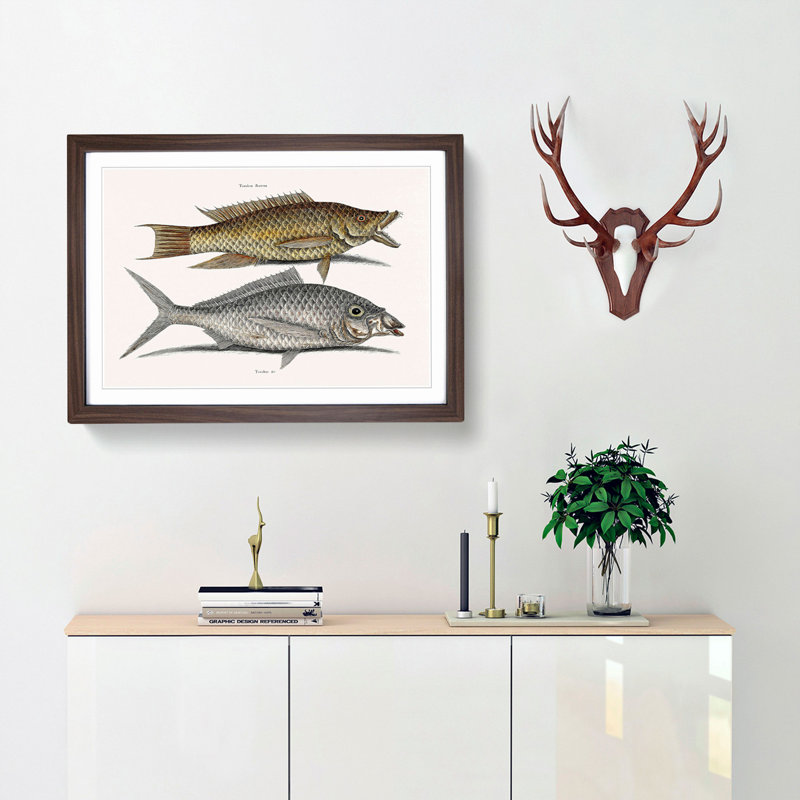 Hig Fish & Shad Fish by Mark Catesby - Picture Frame Painting Print, Walnut Framed, 62cm H x 87cm W x 2cm D