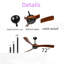 Ceiling Fan Globe Light Kit