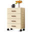 Organisateur de rangement en plastique pour tiroir, commode 4 tiroirs