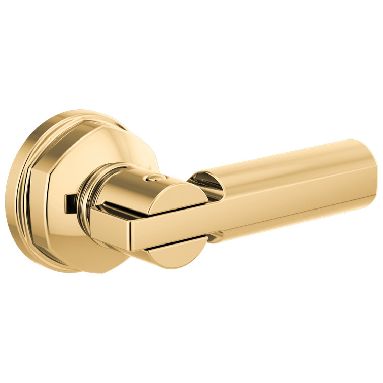 Invari® Universal Flush Lever
