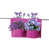 Purple is out of stock selected