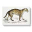Viverrine Cat Illustration by John Edward Gray - Wrapped Canvas-55370246