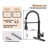Bolden CASAINC 1.8 GPM Spring Neck Pull Down Kitchen Faucet with Deck Plate-93965525