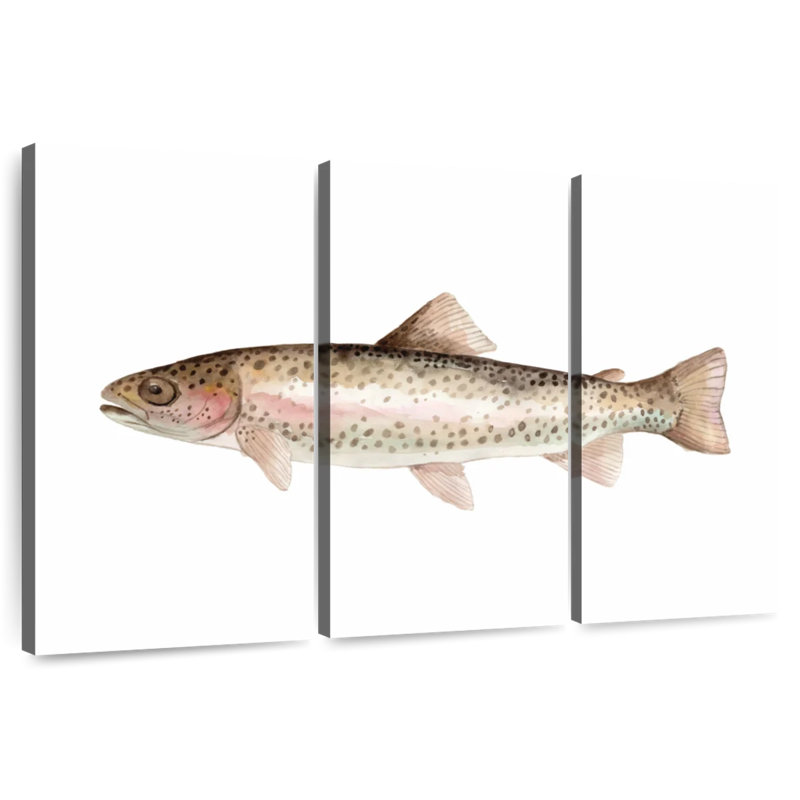 Rainbow Trout, 42" H x 65" W