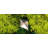 Outdoor/Garden Hammock With Quick-Fold Stand-1735695512
