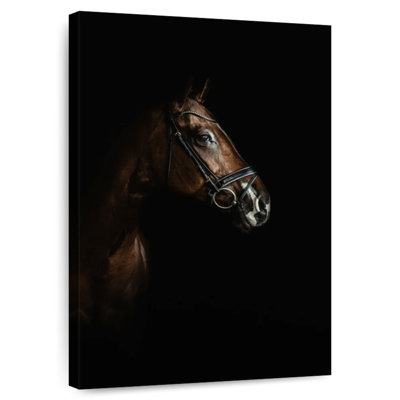 Cheval dans l'ombre