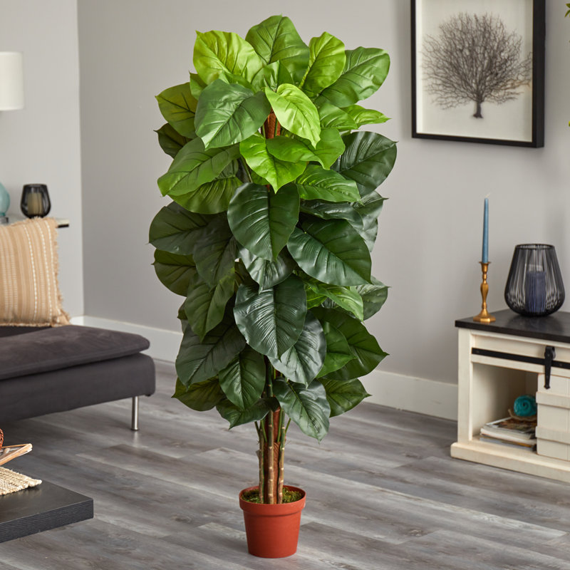 Arbre à feuillage artificiel 1 pièce en pot, 63" H x 33" lx 33" p