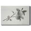 Toile tendue Limonero II-Gallery-678535462